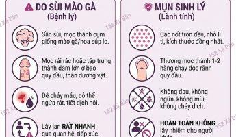 tu-van-cung-bac-si-chuyen-khoa-bat-mi-nguyen-nhan-noi-mun-thit-bao-quy-dau-va-giai-phap-dieu-tri-chi-1-lieu-trinh