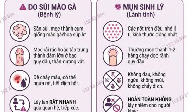 tu-van-cung-bac-si-chuyen-khoa-bat-mi-nguyen-nhan-noi-mun-thit-bao-quy-dau-va-giai-phap-dieu-tri-chi-1-lieu-trinh