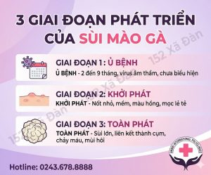 giai đoạn sùi mào gà