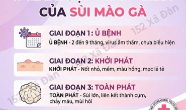 bac-si-chuyen-khoa-bat-mi-cach-chua-sui-mao-ga-o-nu-10-nguoi-chua-9-nguoi-khoi