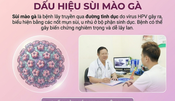 noi-mun-thit-o-duong-vat